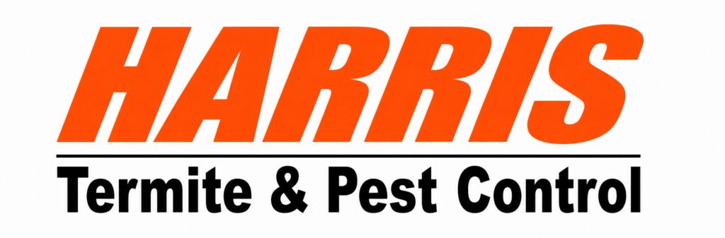ChatGPT Image Jul 1, 2026, 12_09_39 PM