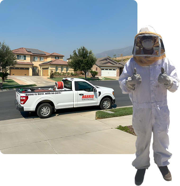 A man in bee suit standing next to a white truck.