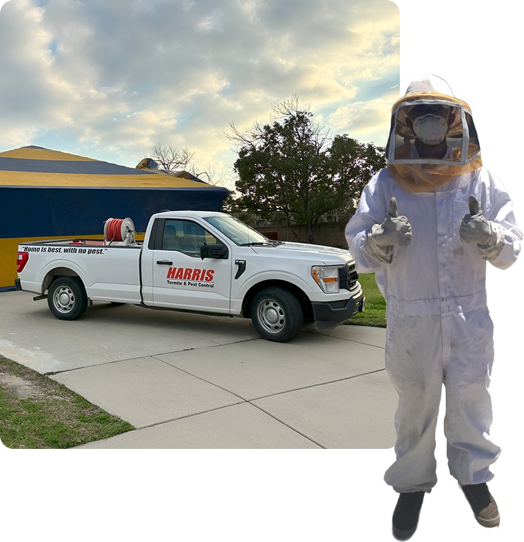 A man in bee suit standing next to a truck.