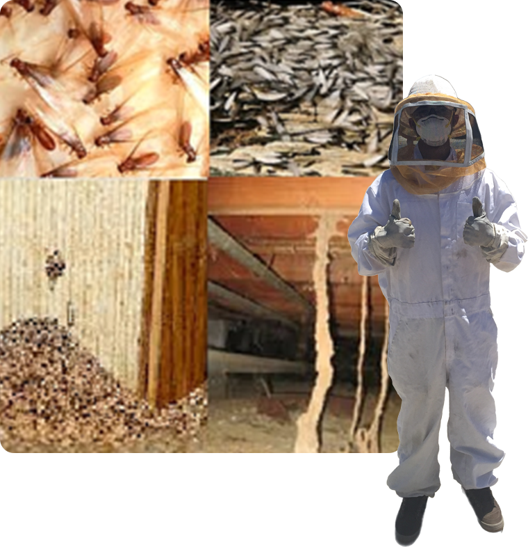 A bee keeper in full gear standing next to a pile of bees.