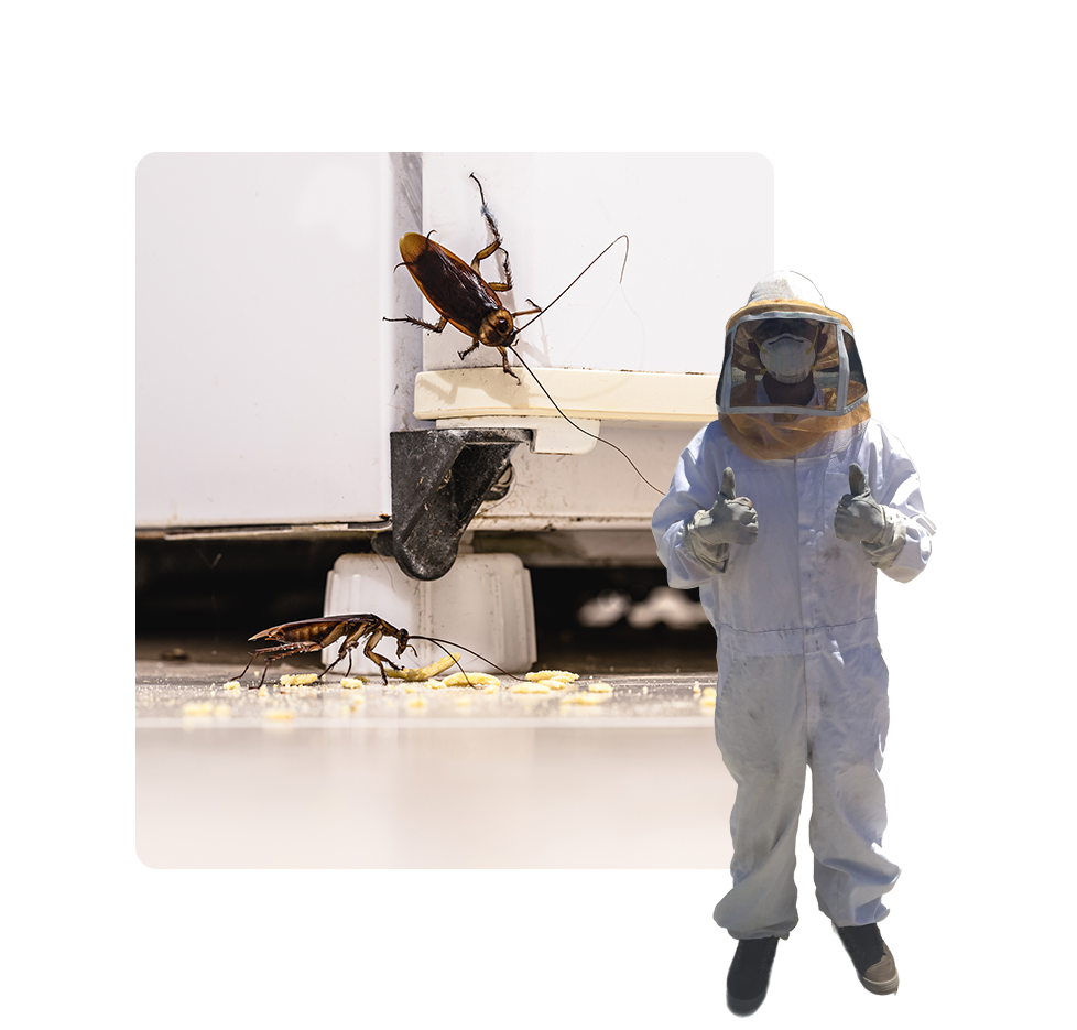 A person in a bee suit and helmet standing next to a bug.