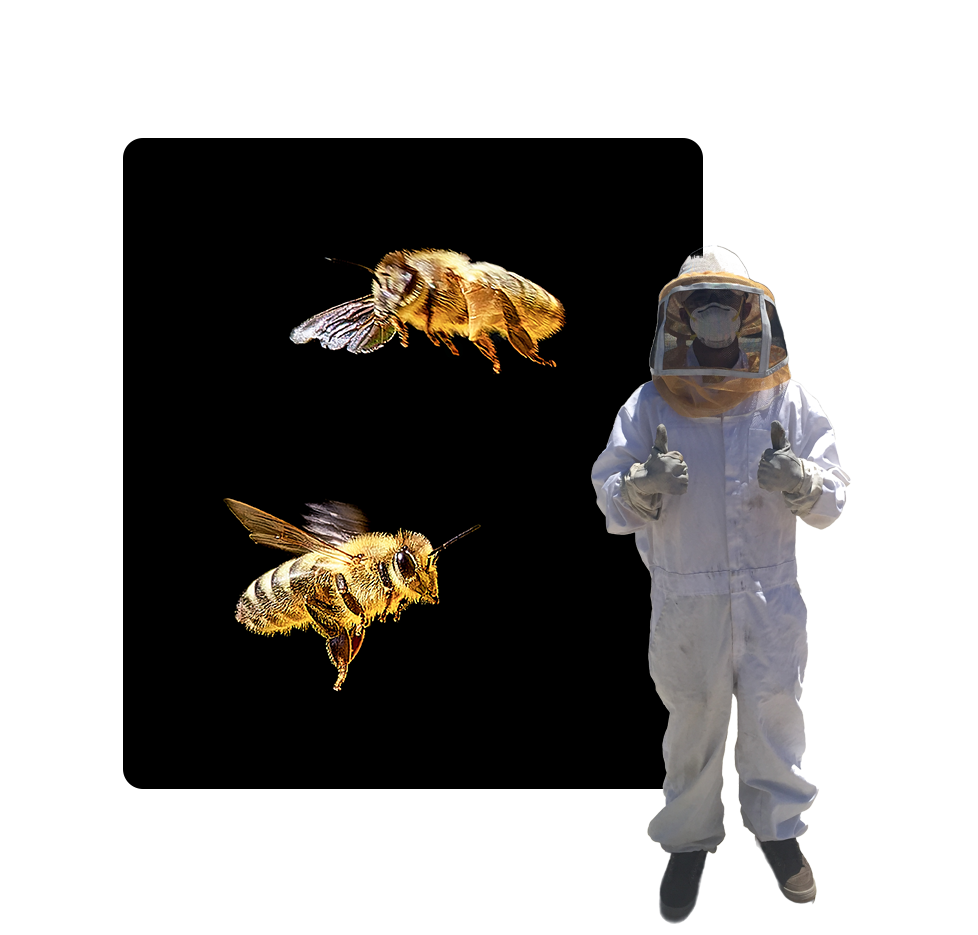 A bee-keeper and two bees flying in the air.