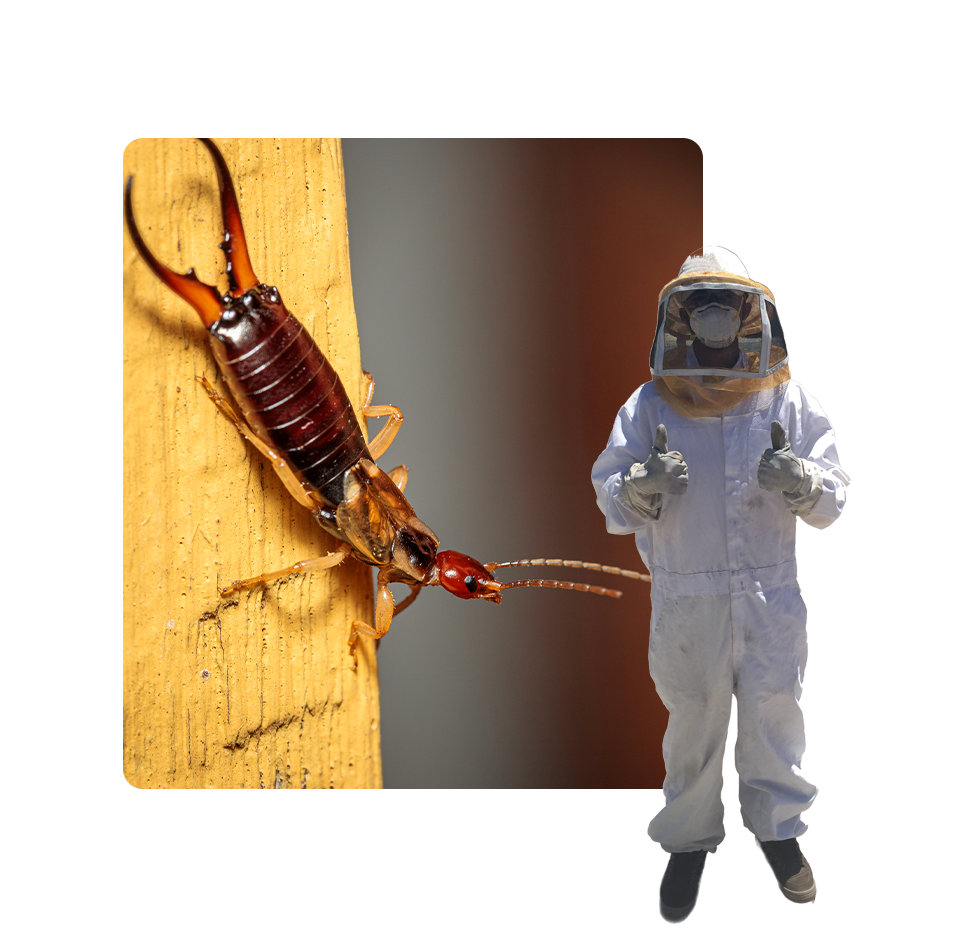 A man in white suit standing next to a bug.