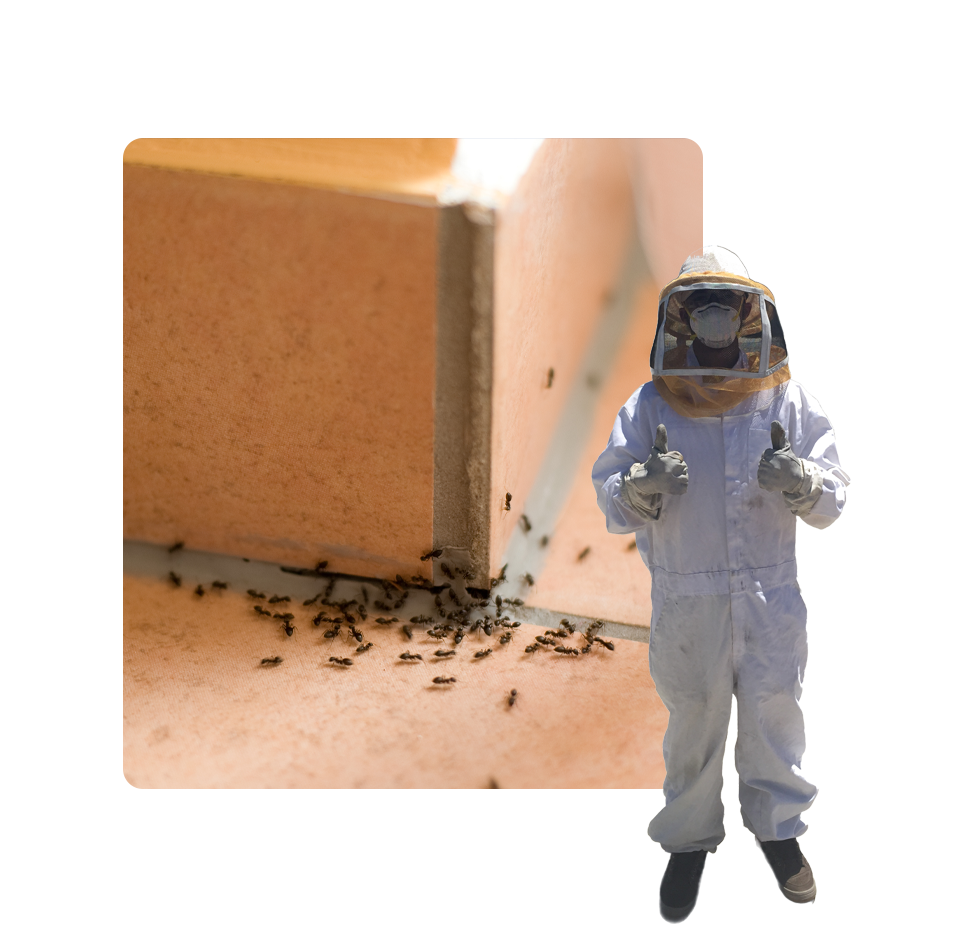 A person in a bee suit standing next to a wall.