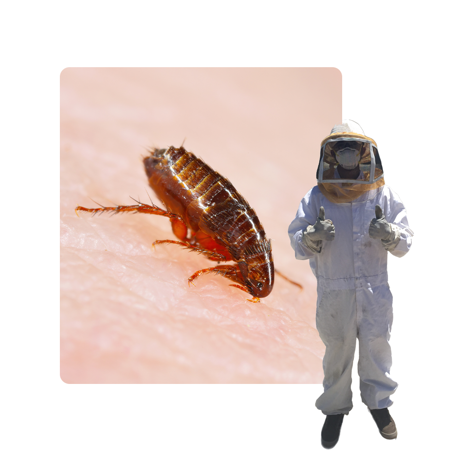 A person in white suit standing next to a bug.