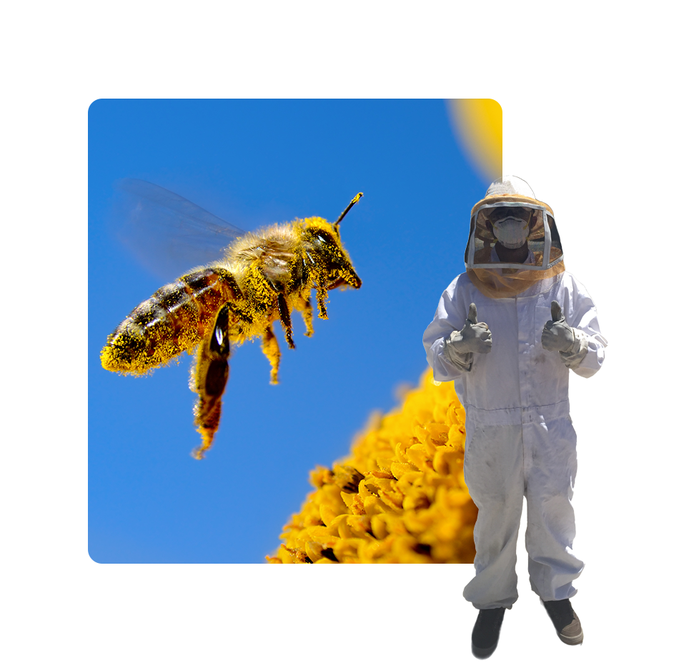 A bee flying in the air with a person standing next to it.