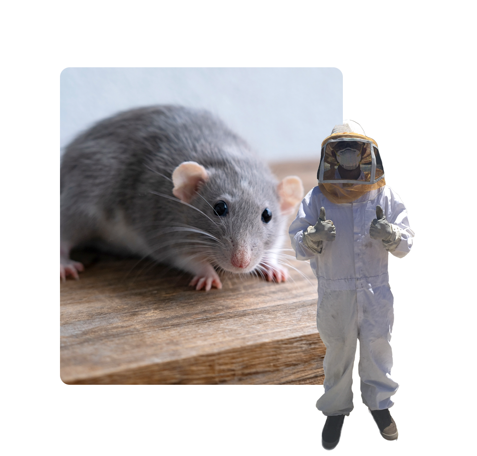 A mouse and a person in white suits