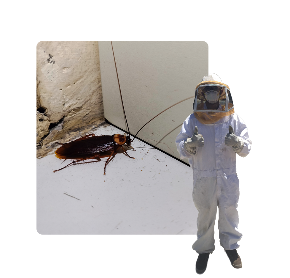 A person in white suit and helmet next to a cockroach.