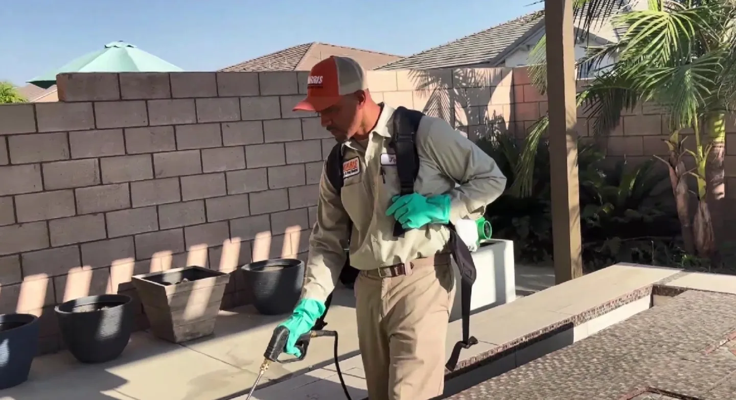 A man spraying pesticide on the ground.